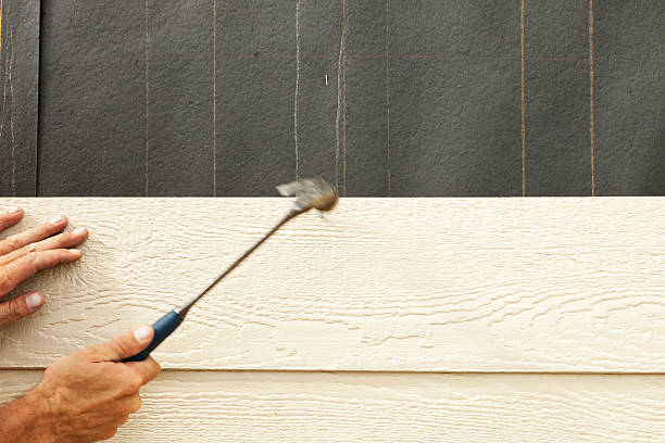 Best Insulated Siding Installation  in Brookhaven, PA